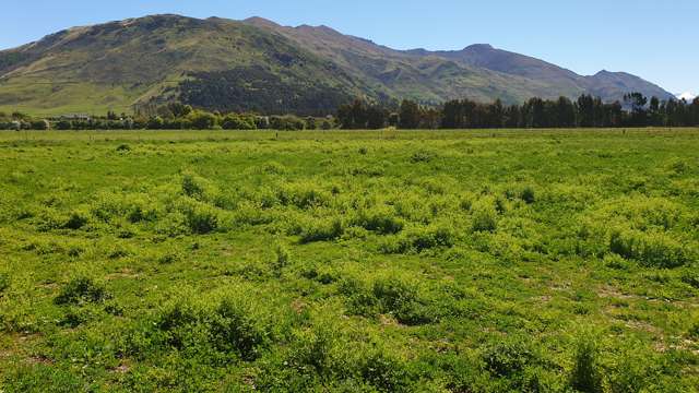 Riverbank Road Wanaka_4