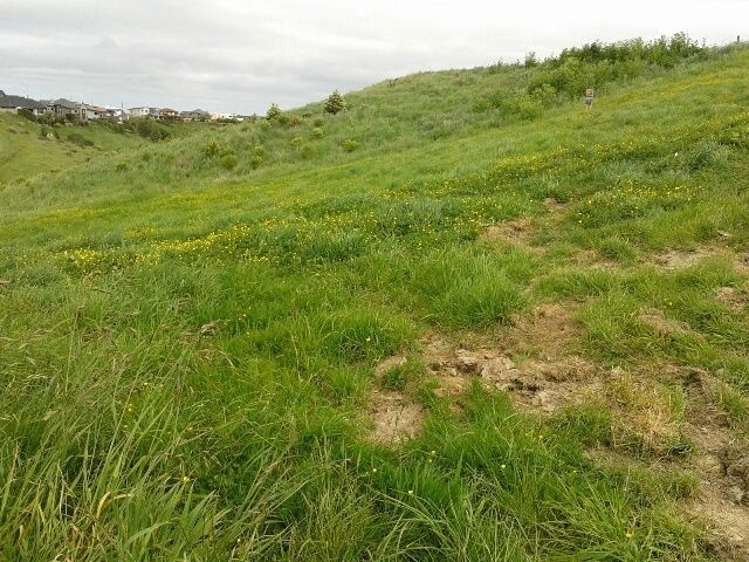 21 Vaucluse Heights Fitzherbert_0