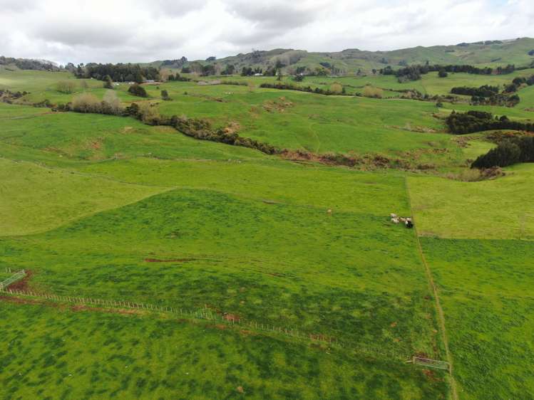 694 Troopers Road Te Kuiti_12