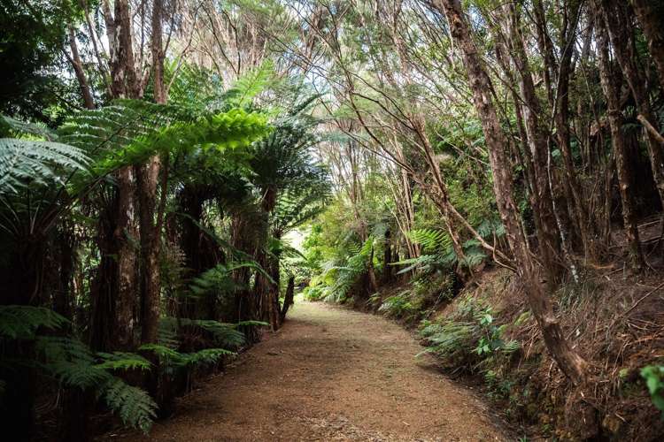 183 Rangitane Road Kerikeri_27