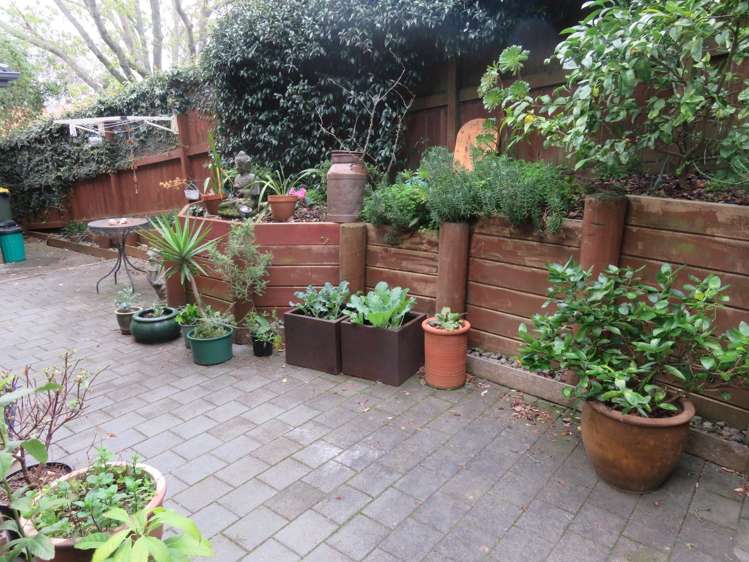 94A MacFarlane Street 1074_9