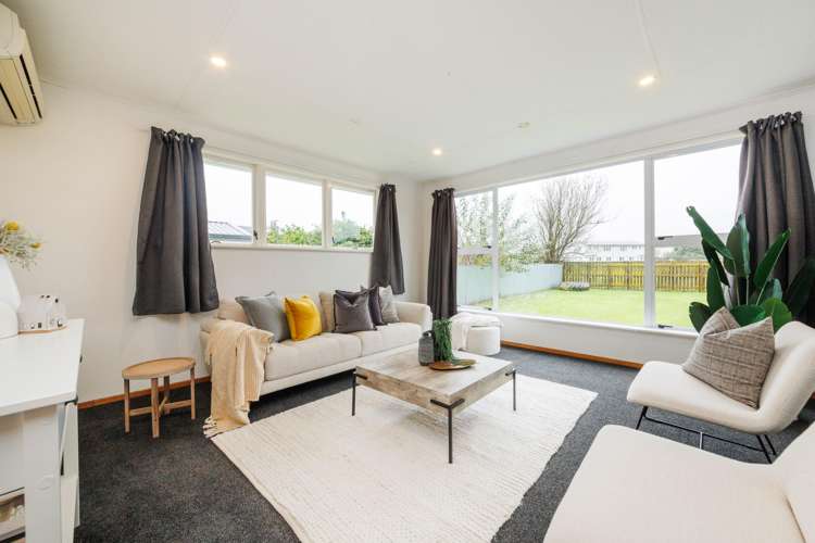 1 Ventura Grove Bulls_4