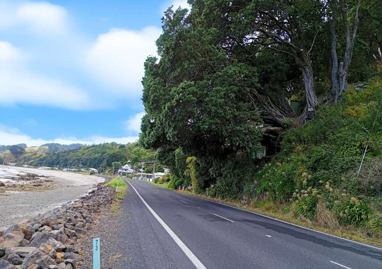 820 Thames Coast Road Te Mata_2