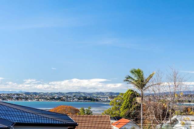 1/171 Riddell Road Glendowie_2