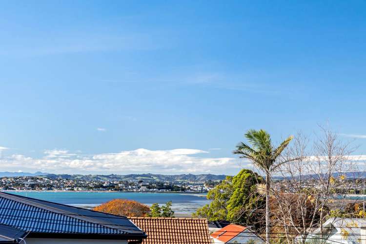 1/171 Riddell Road Glendowie_2