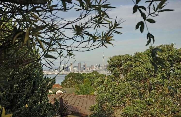 62 Porritt Avenue Chatswood_19