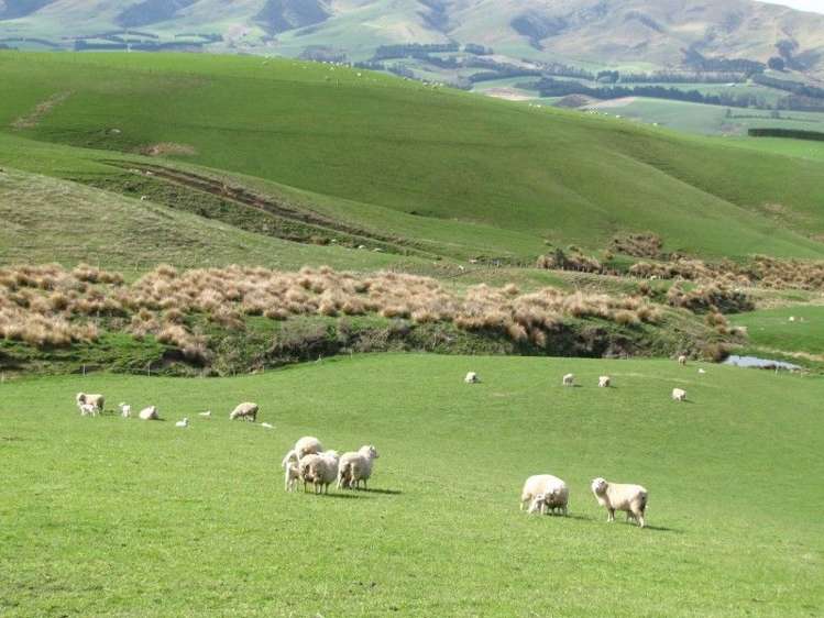 236 Kee Road Gore Surrounds_1