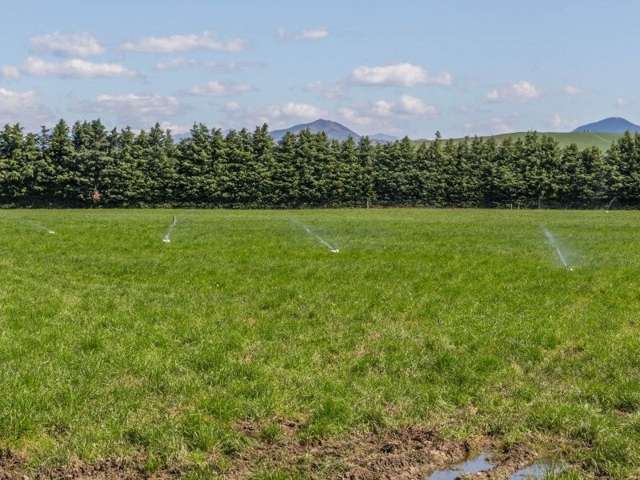 136 Mount Palm Road Rotherham_3