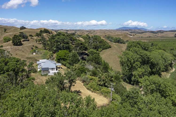 475 Te Akau South Road Te Akau_19