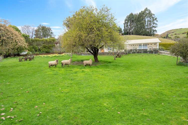 25 Ralston Street Allanton_19