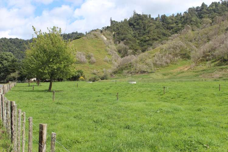 652 Piko Road Okoki_24