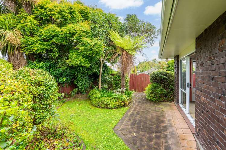 24a Phoenix Avenue Hokowhitu_13