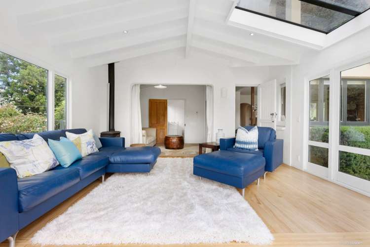 133 Ara-Kotinga Whitford_16