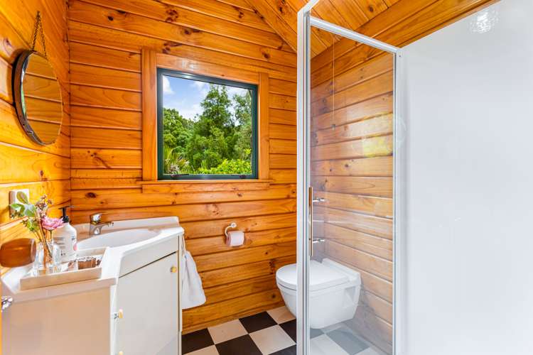 40a Mahoe Road Titirangi_15