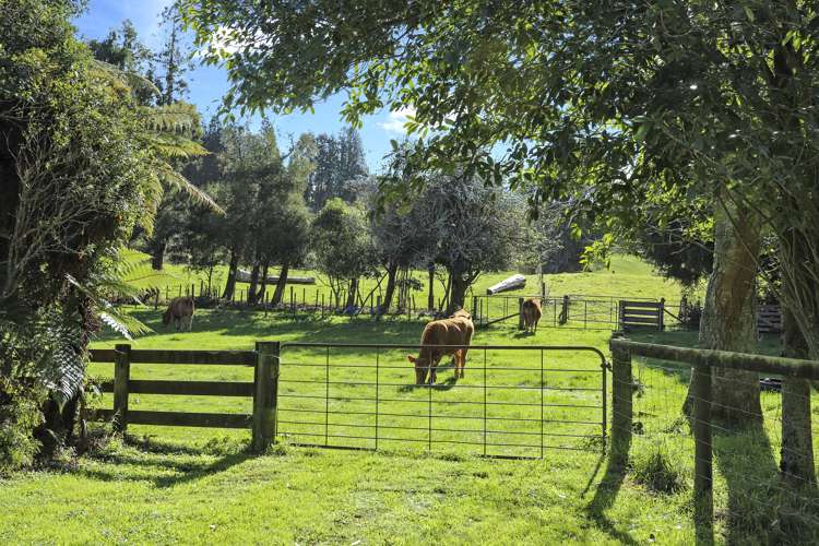 83a Odey Road Whakamarama_8