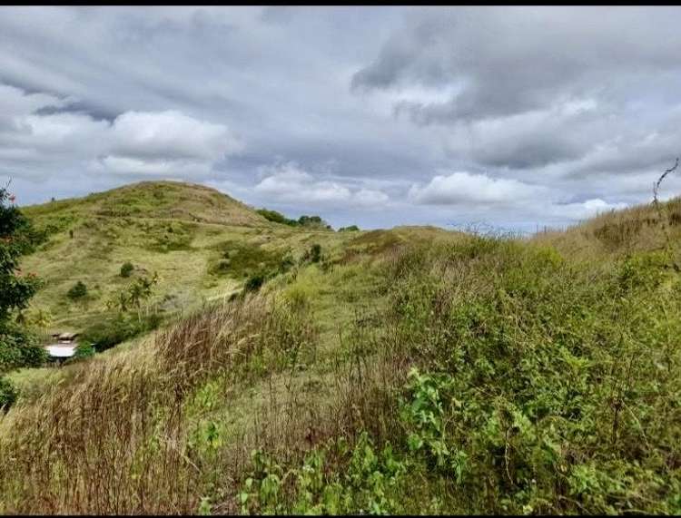 Lot 1 Off Solove Road Wailevu Labasa_5