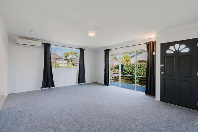 3a Thode Place Nawton_2