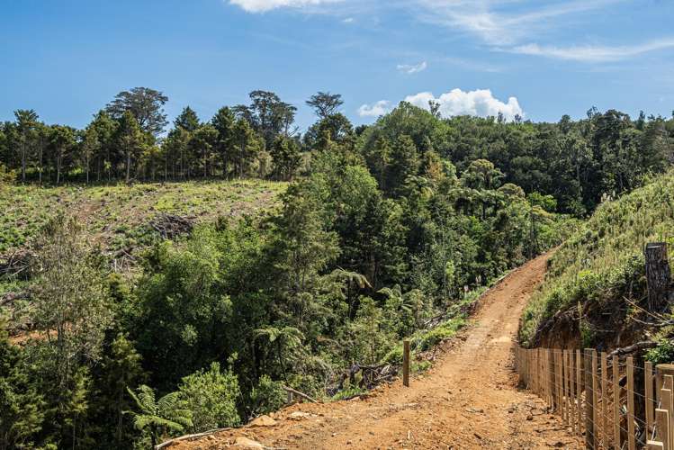 Puhipuhi Road Whakapara_7