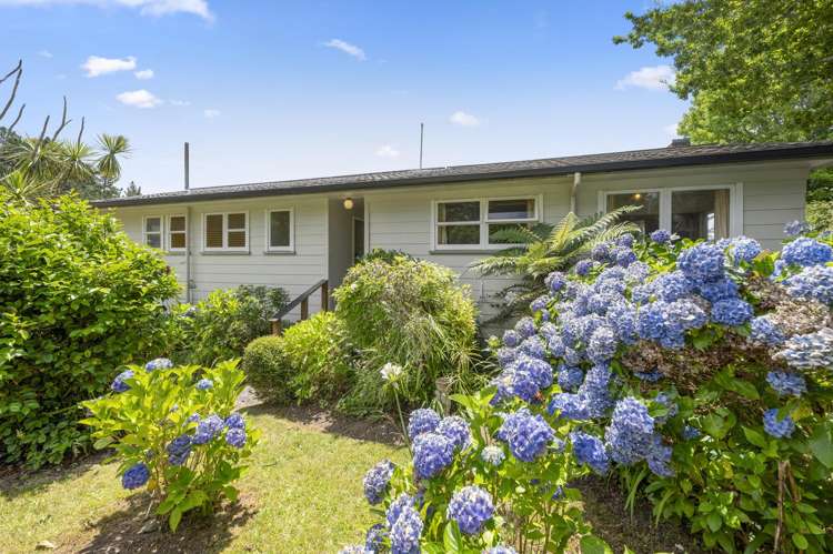 15 Raniera Place Springfield_20