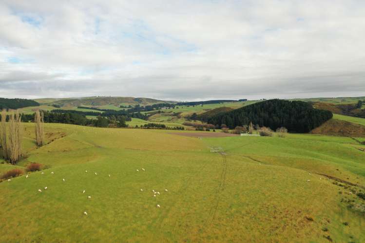 319 Monument Road Pleasant Point_20