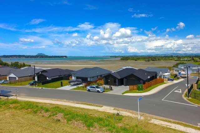 54 Bert Wall Drive Omokoroa_3