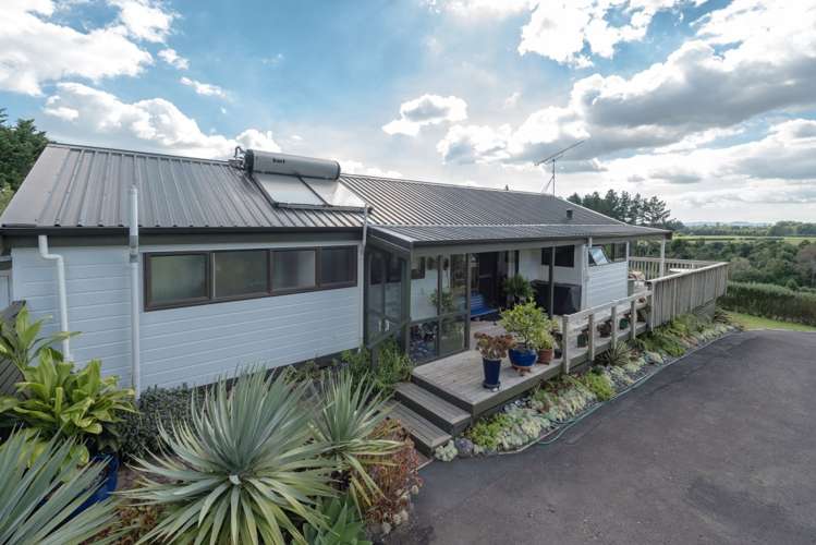 49 Peacockes Lane Peacocke_13