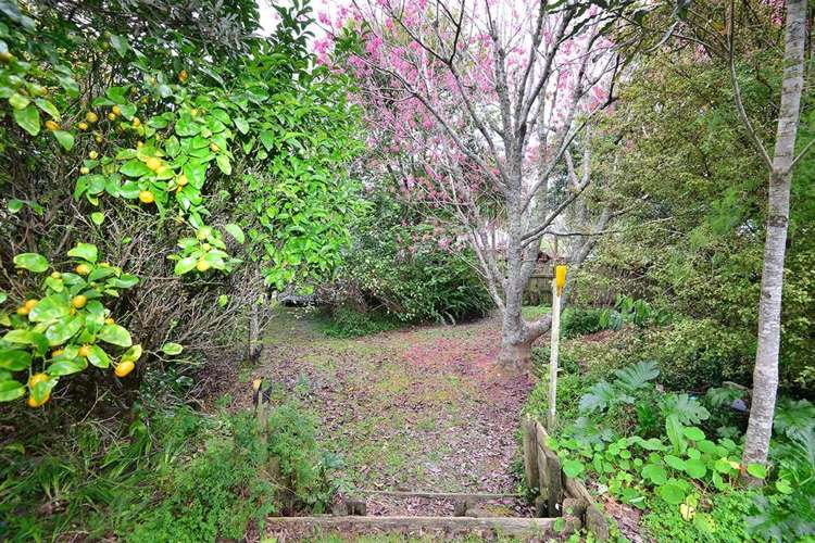 113 Brian Crescent Stanmore Bay_15