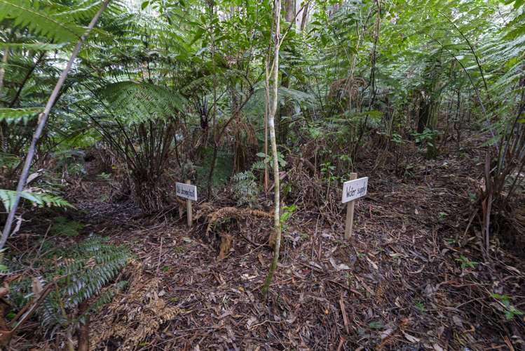 1863 Takaka-Collingwood Highway Collingwood_35