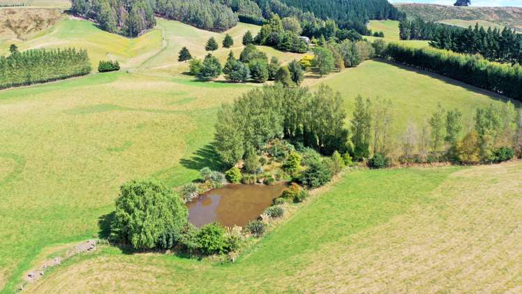 41 Otaria Road Gore Surrounds_21