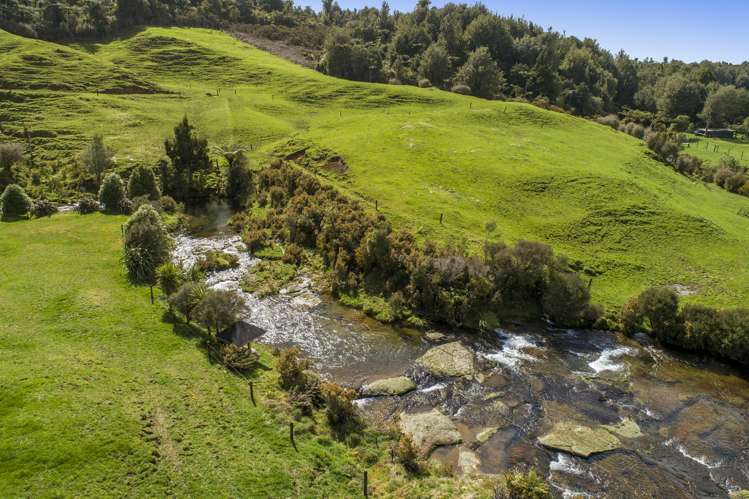 698f Whakamarama Road Whakamarama_22