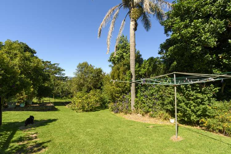 33 Collingwood Street Judea_17