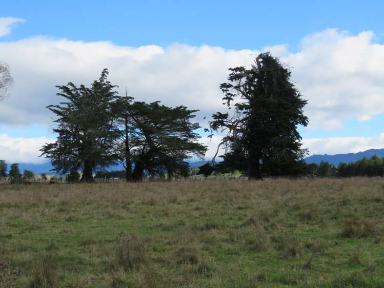 51 Lyall Street Tikokino_0