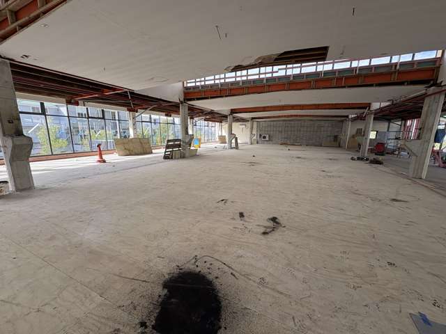 3-5 George Street Thorndon_1