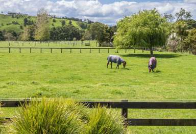 145A Port Marsden Highway_2