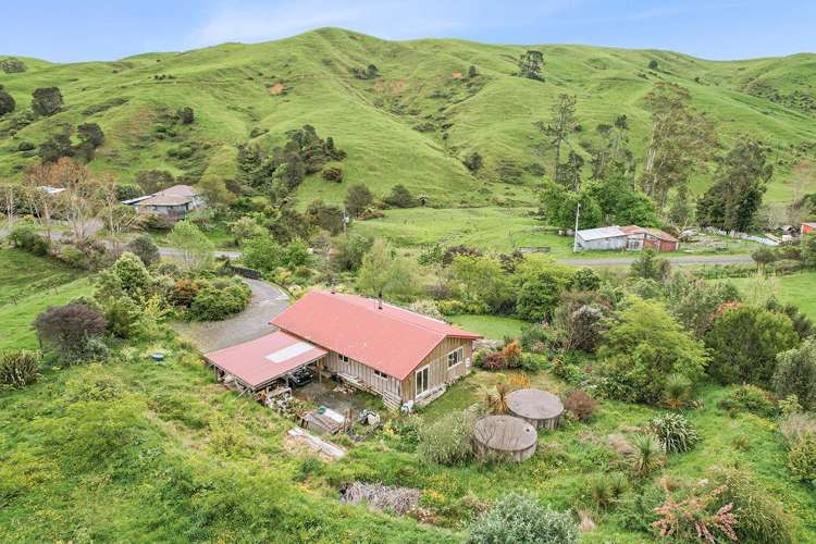 702 Tahuroa Road Morrinsville_25