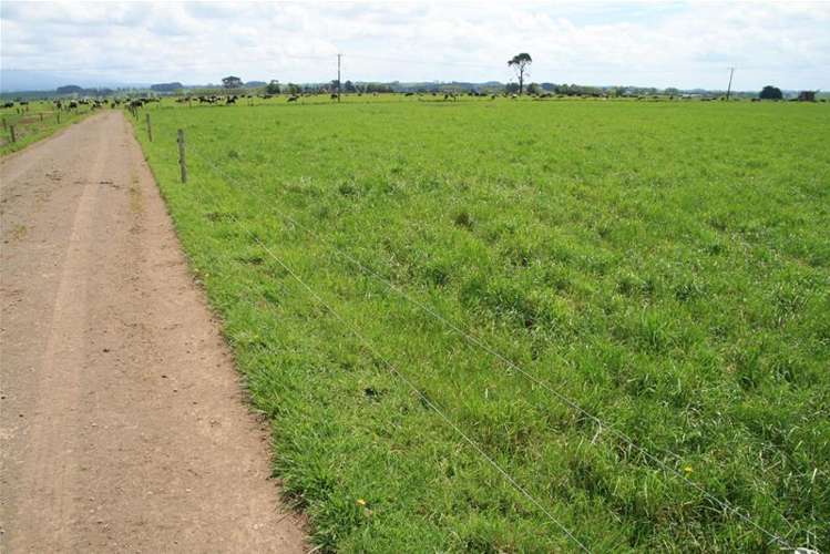 173 Anderson Road Eltham_9