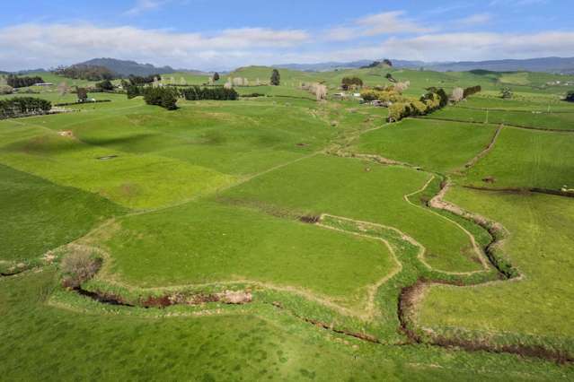 6 hectares in Idyllic Waihi Countryside