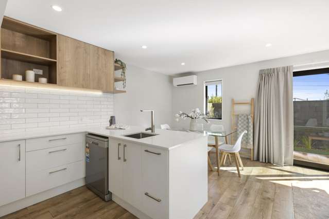 2/16 Mountfort Street Spreydon_2