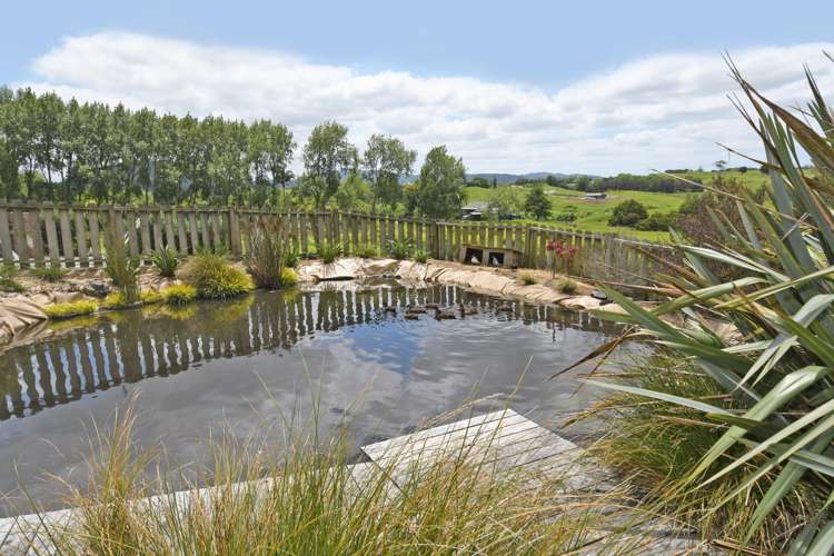 56 Wattle Lane Kaiwaka_2