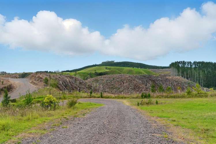 307 Campbell Road Pukehina_16