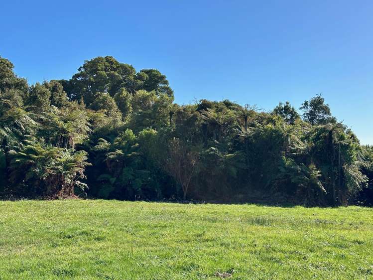 Lot 4 South Terrace Road Karamea_20