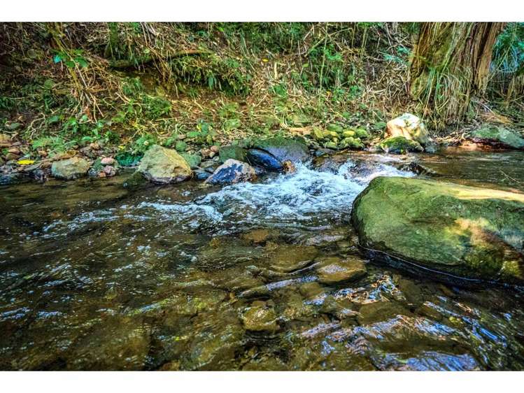 Lot 11/15 Manako Place Kerikeri_16