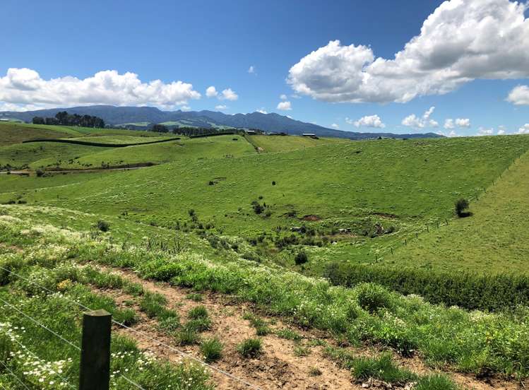 1564 State Highway 31 Kawhia Road Otorohanga_18