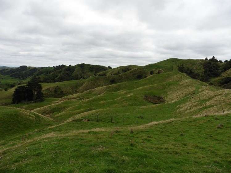 2837 State Highway 4 Aria_17