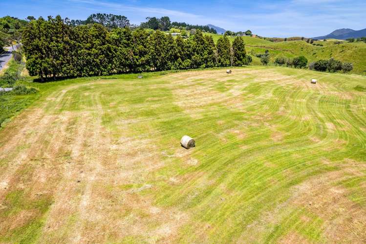 160 Sealy Road Omata_5