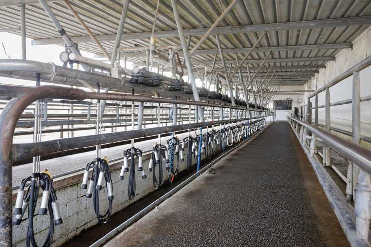 780 Wani Road Paeroa_25