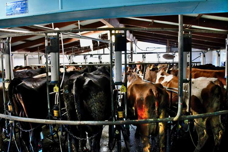 451 Umere Road Karamea_12