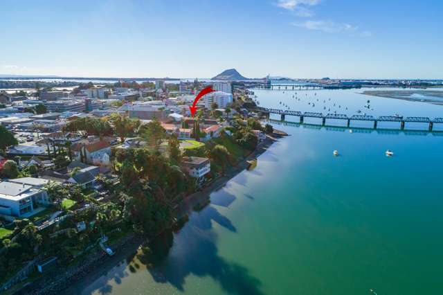 3/14 First Avenue Tauranga Central_2