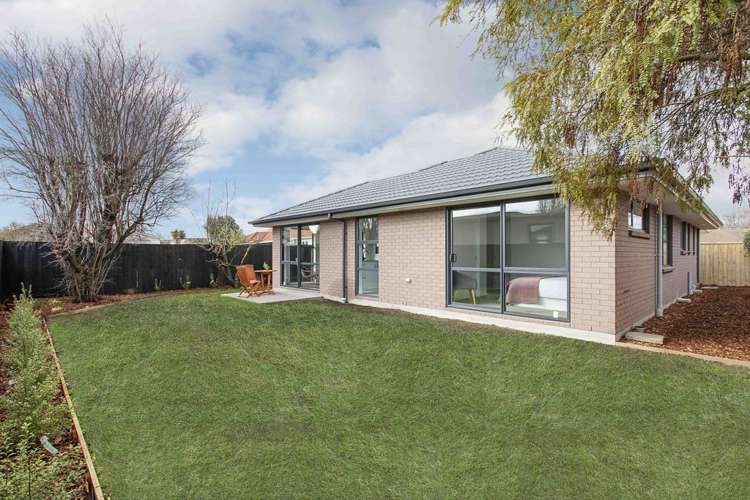 9a Hammond Place Witherlea_6