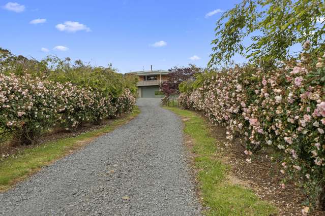 131 Starkey Road Morrinsville_2